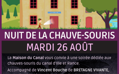 Nuit de la chauve-souris