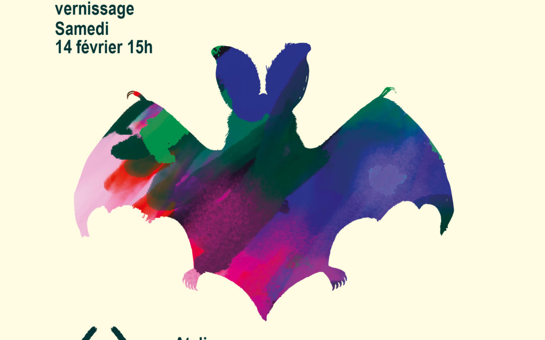 Exposition temporaire sur les chauves-souris du canal